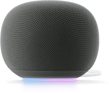 Google Home Speaker in Hazel